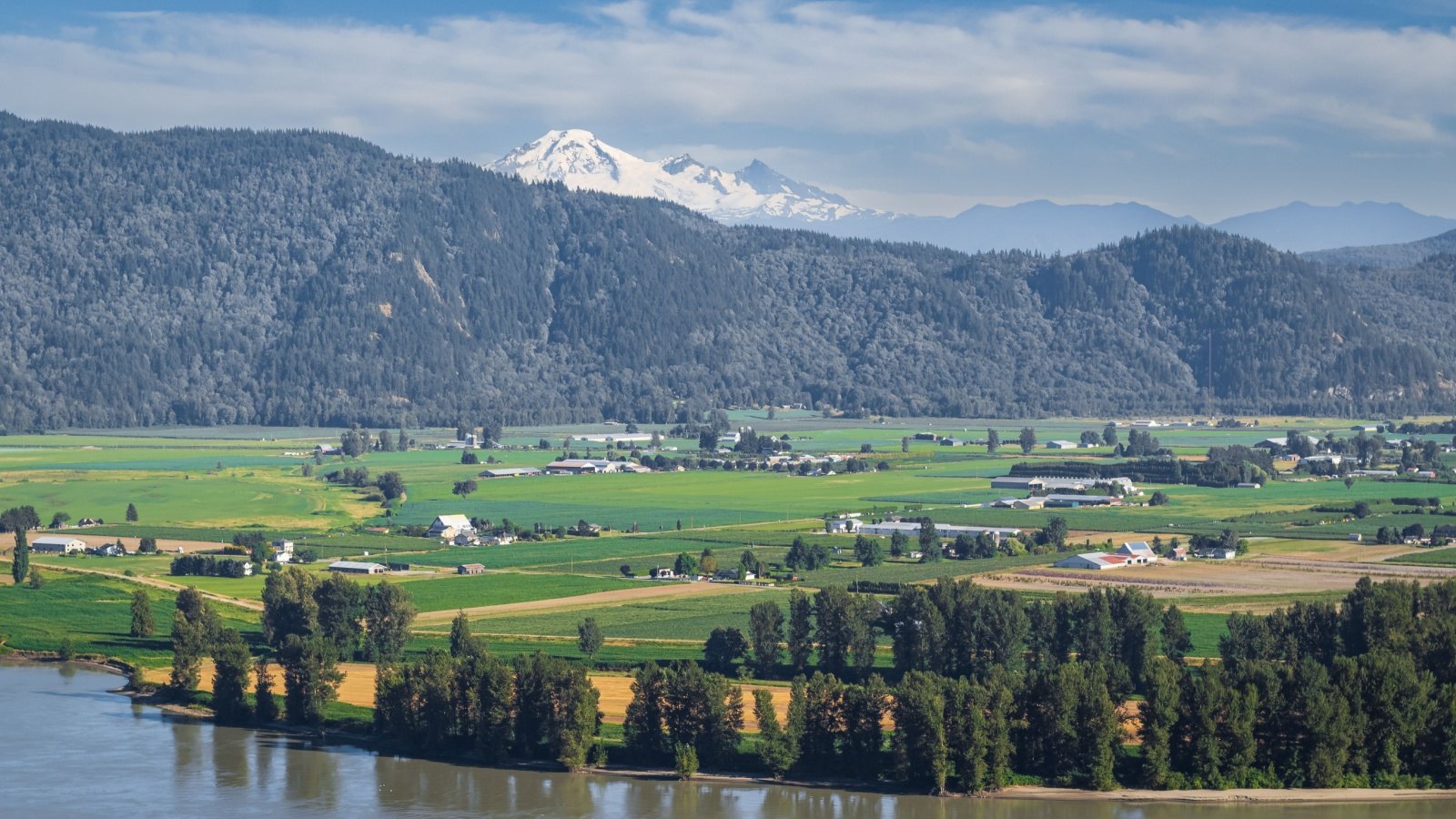 Farmland along the Fraser River below snow-capped Mount Baker in the Fraser Valley